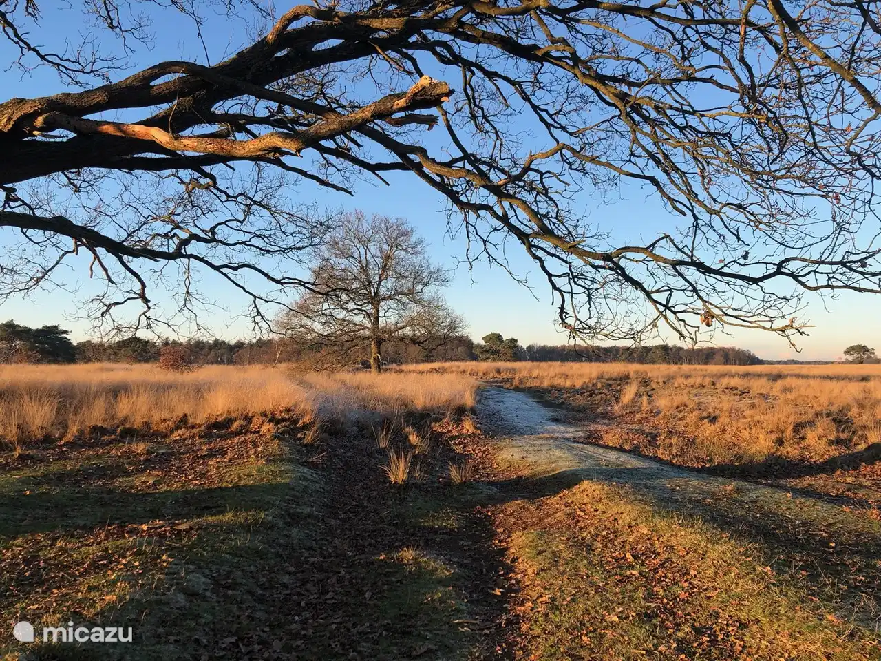 Natur in der Umgebung von Het Bosryck