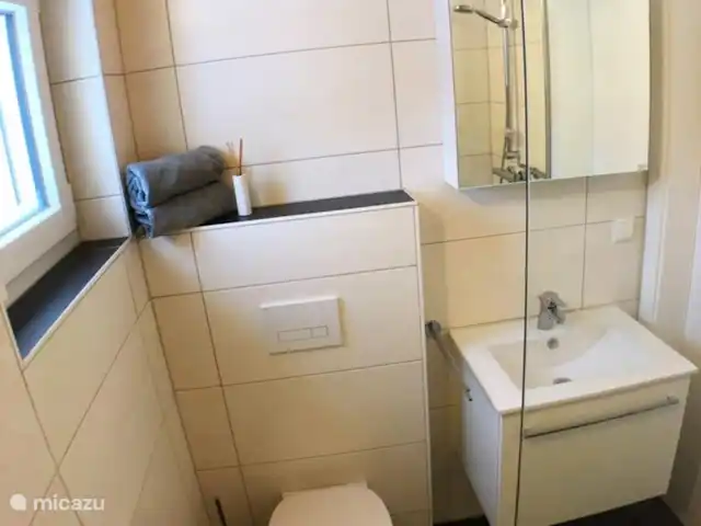 Maison Drei Madel | Autriche, Carinthie, Arnoldstein - maison de vacances Une des deux salles de bain