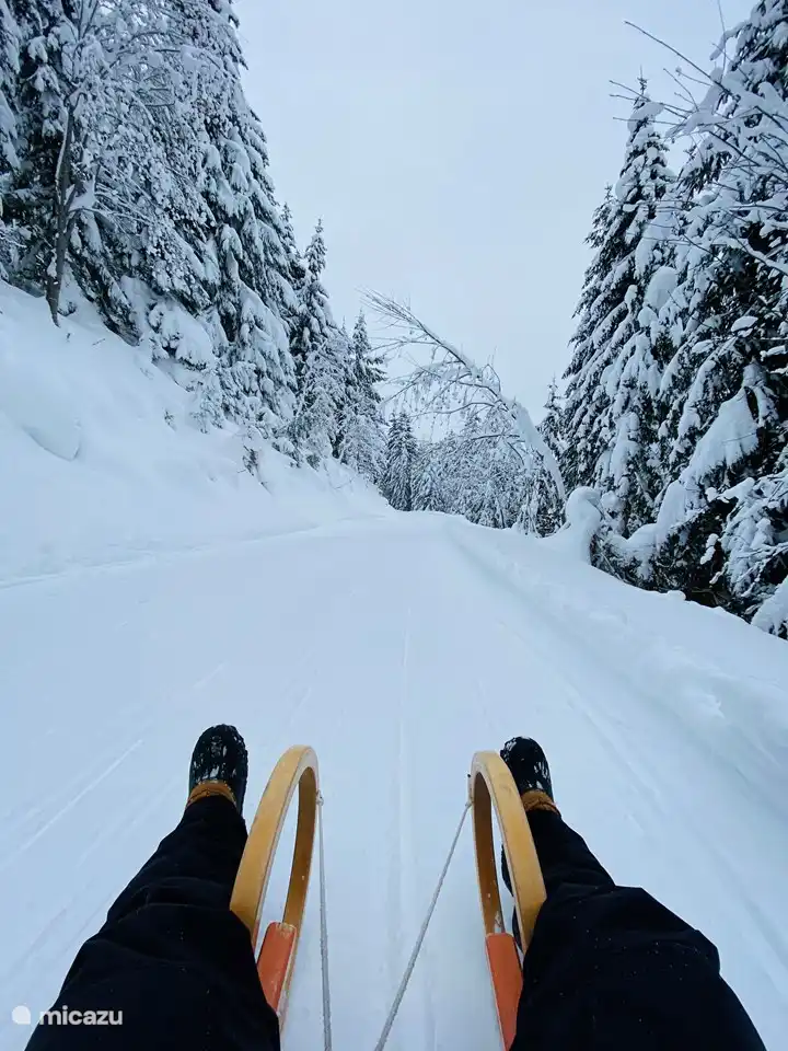 Piste de luge de 8 km
