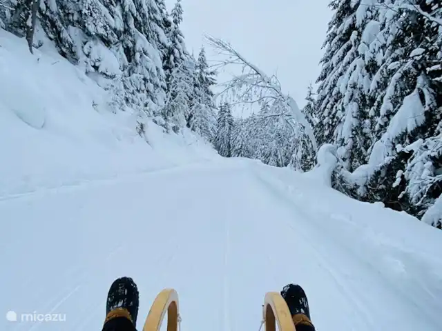 Maison Drei Madel | Autriche, Carinthie, Arnoldstein - maison de vacances Piste de luge de 8 km