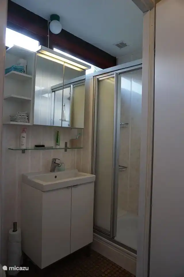 Badezimmer mit Dusche, WC und Waschbecken