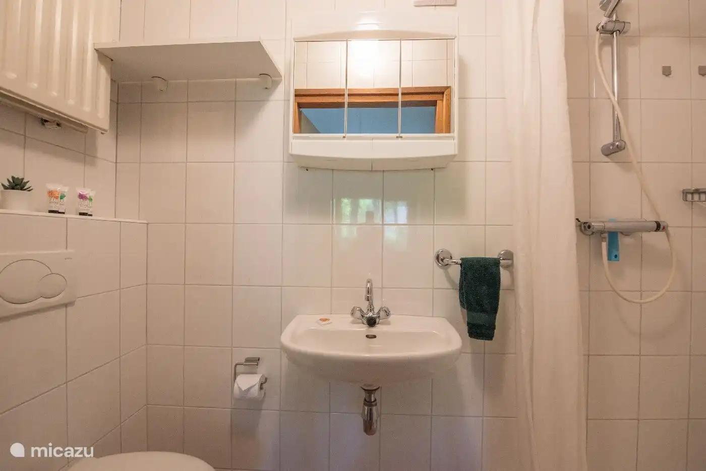 Das Badezimmer verfügt über eine Toilette, ein Waschbecken und eine ebenerdige Dusche