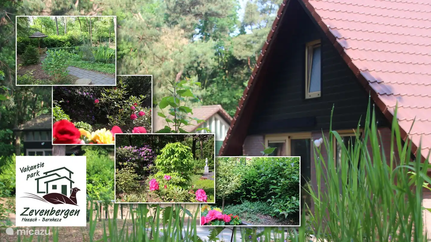 Kombinationsfoto des Parks