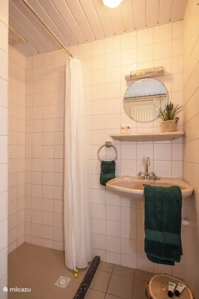 Das Badezimmer verfügt über eine Toilette, ein Waschbecken und eine ebenerdige Dusche.