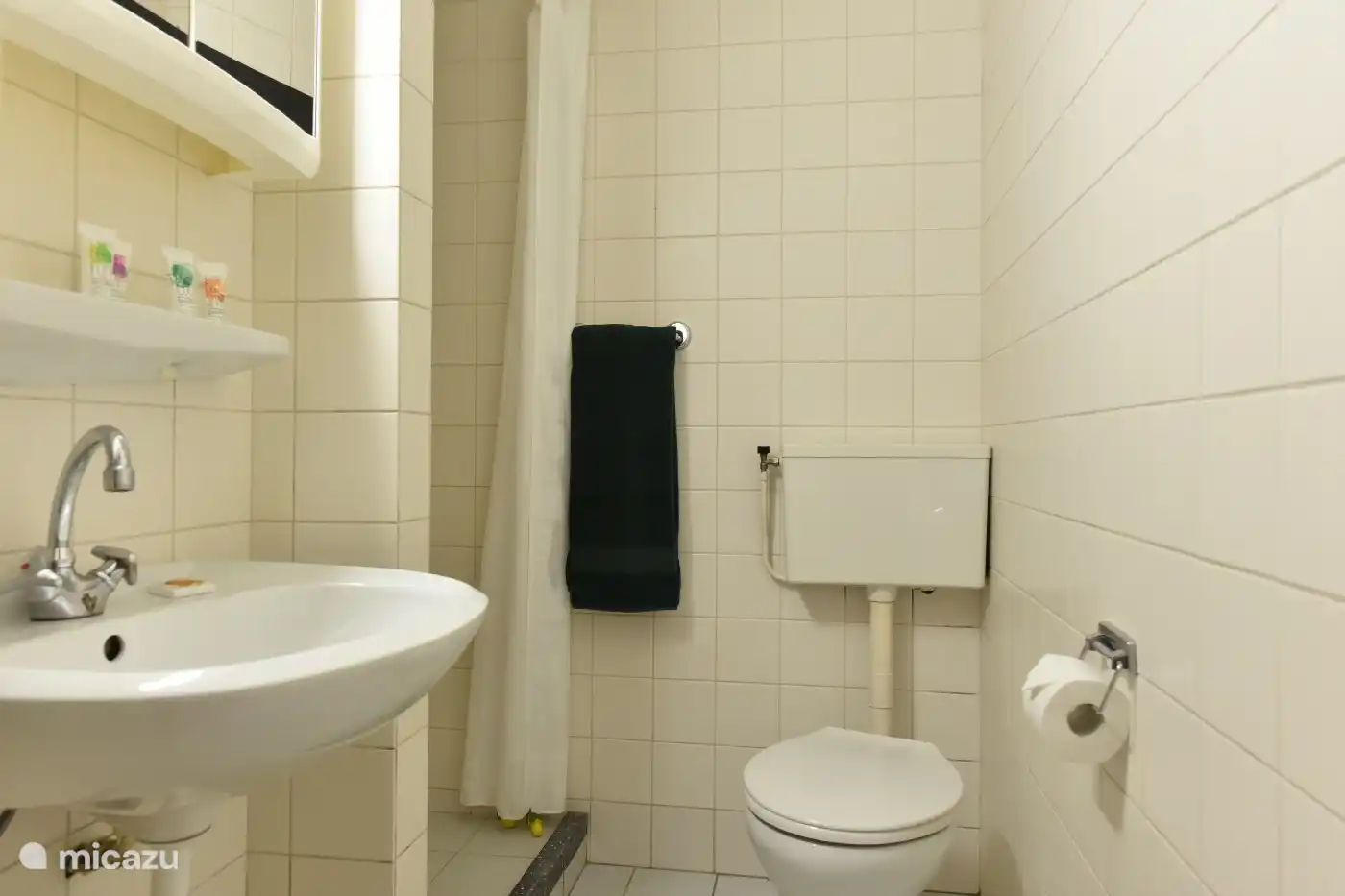 Das Badezimmer verfügt über eine Toilette, ein Waschbecken und eine ebenerdige Dusche.