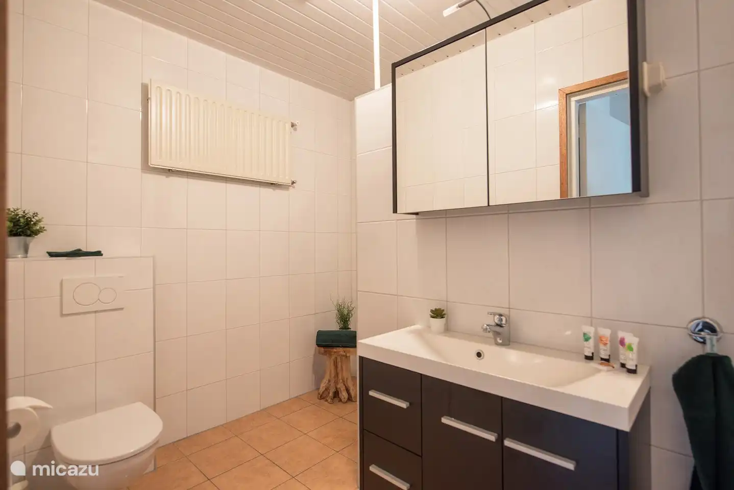 Das Badezimmer verfügt über eine Toilette, ein Waschbecken und eine ebenerdige Dusche.