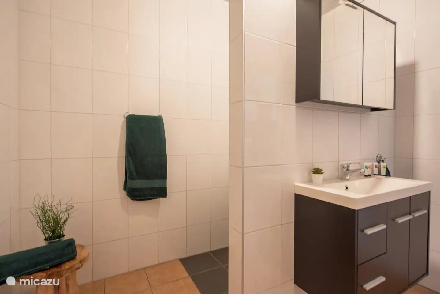 Das Badezimmer verfügt über eine Toilette, ein Waschbecken und eine ebenerdige Dusche.