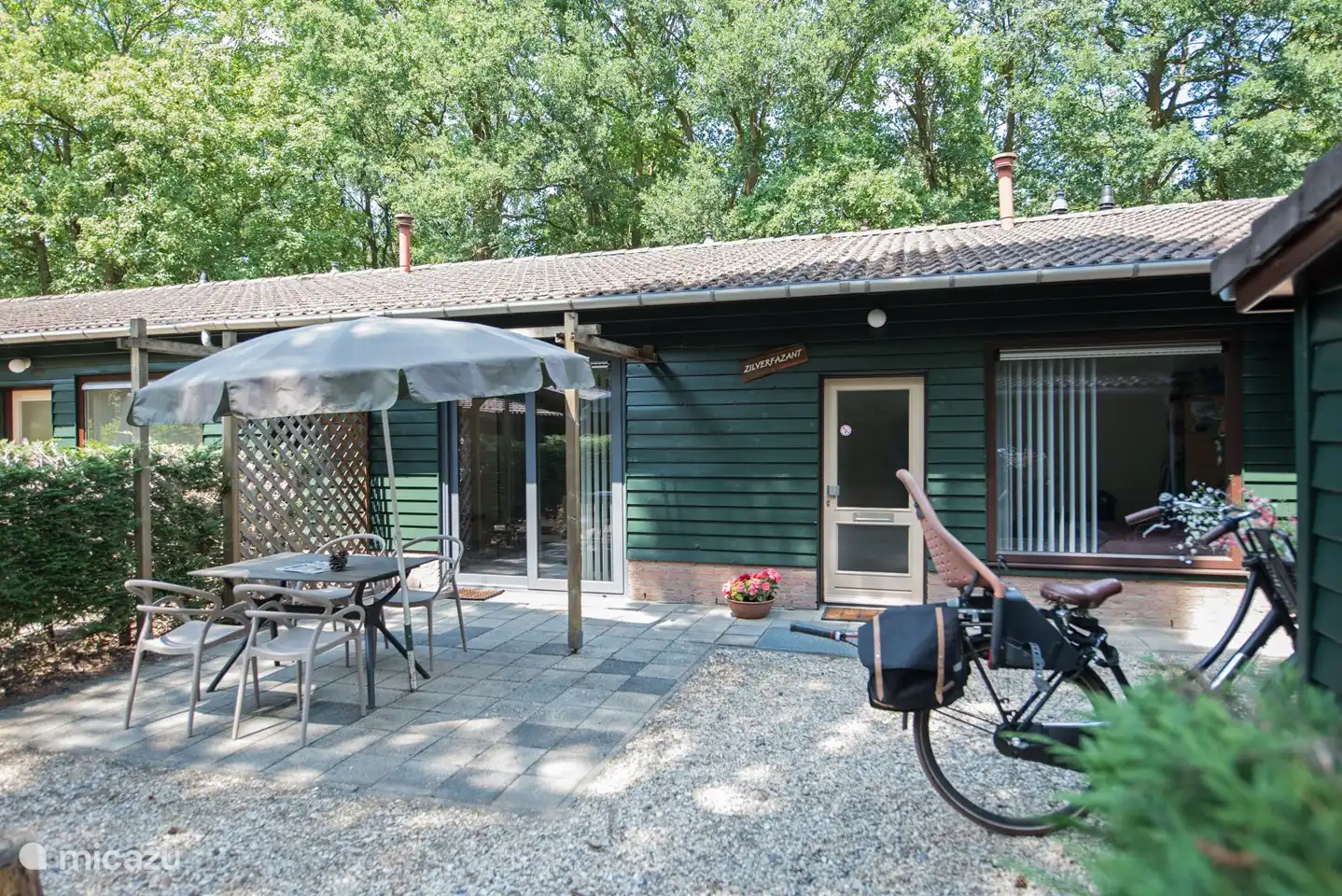 bungalow, Schaijk, Nordbrabant, Niederlande - Silberfasan