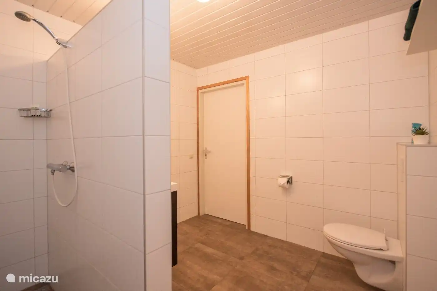 Das Badezimmer verfügt über eine Toilette, ein Waschbecken und eine ebenerdige Dusche.