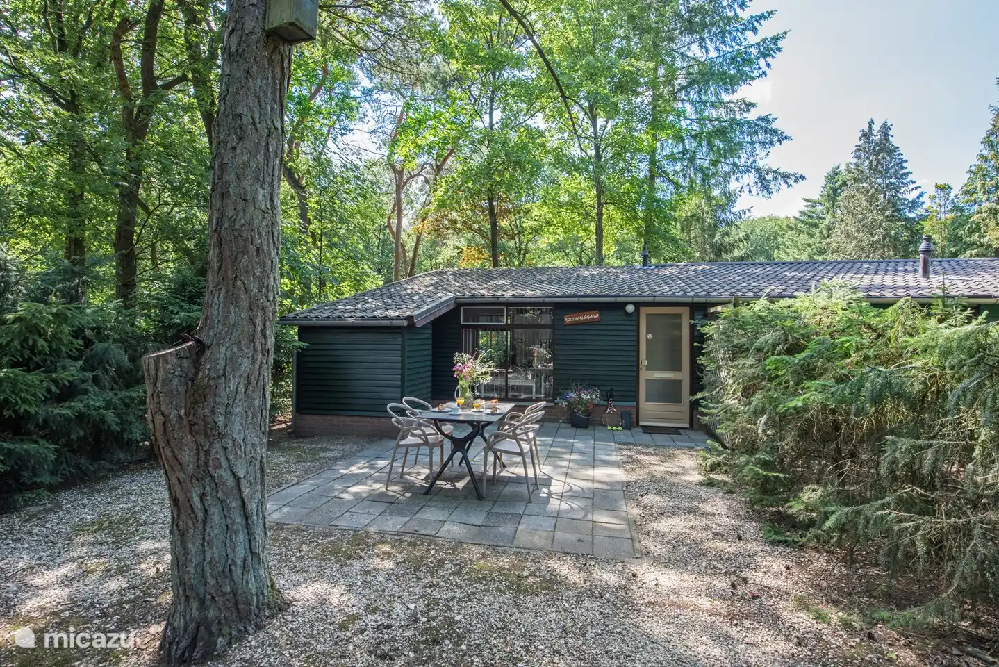 bungalow, Schaijk, Nordbrabant, Niederlande - Rotbrustgans