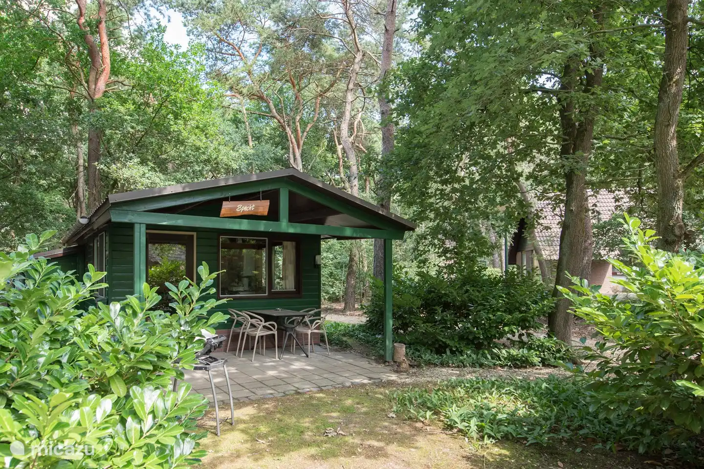 Specht in Niederlande, Nordbrabant, Heesch - bungalow