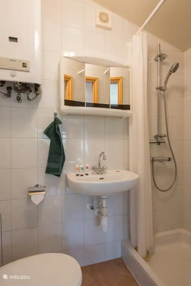 Das Badezimmer verfügt über eine Toilette, ein Waschbecken und eine ebenerdige Dusche