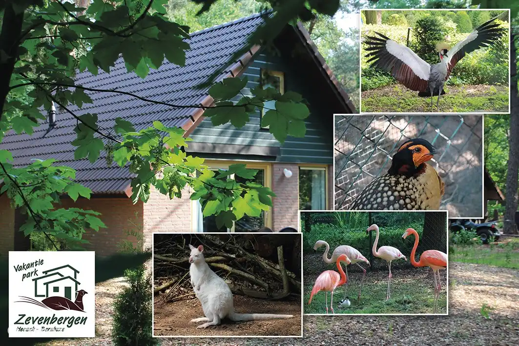 Several animal species live in the park 