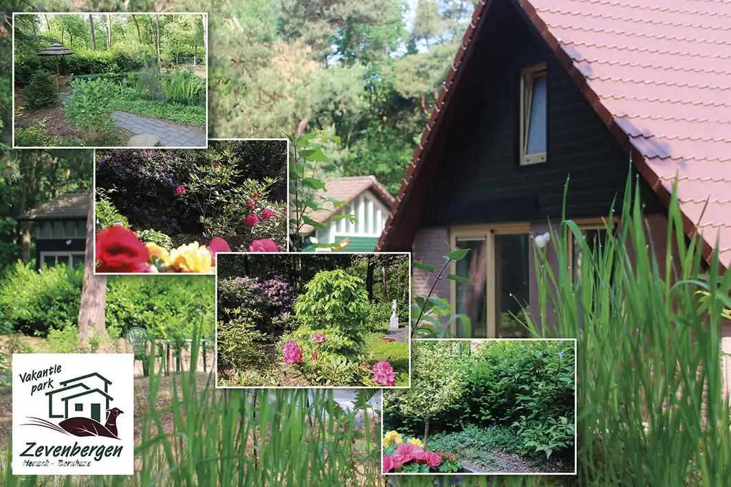 combination photo of the park