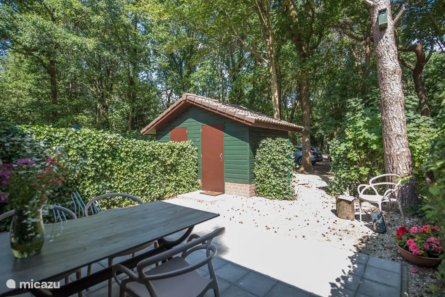 The terrace and the garden