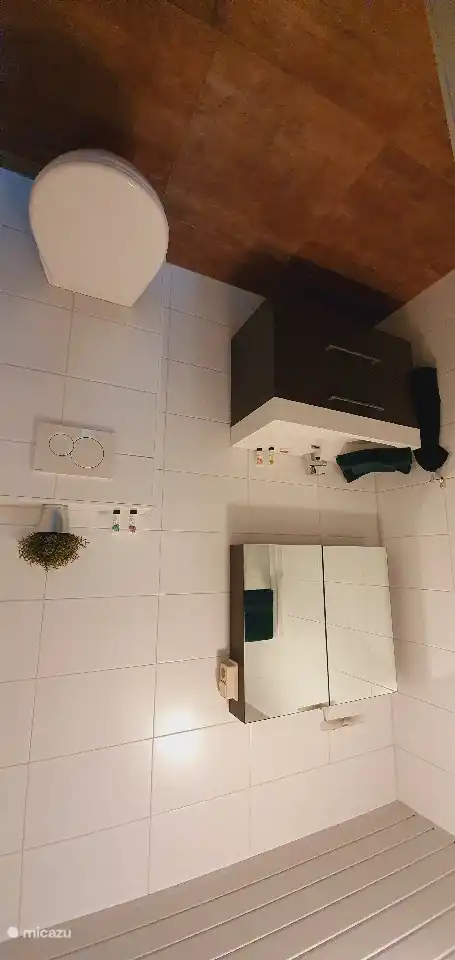 The bathroom has a toilet, sink and walk-in shower