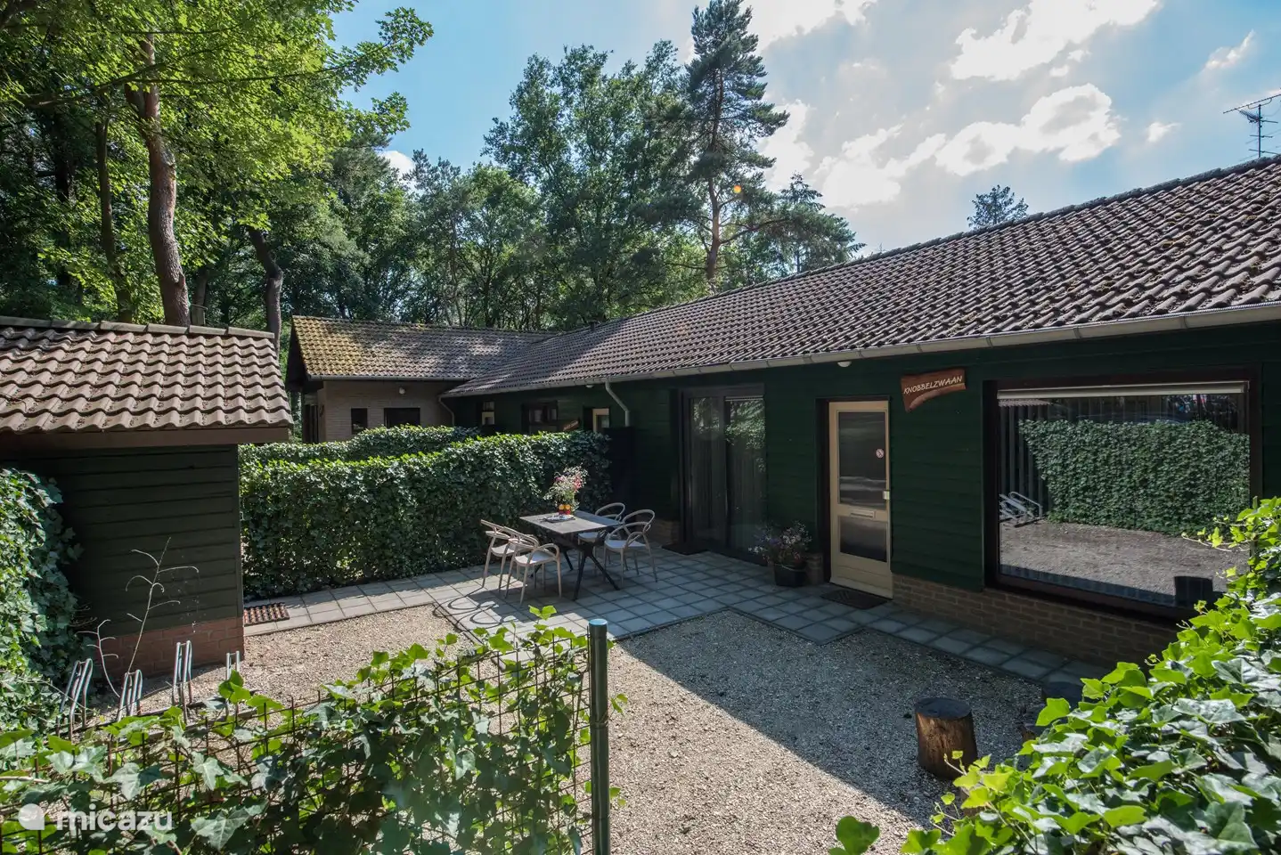 Höckerschwan in Niederlande, Nordbrabant, Heesch - bungalow