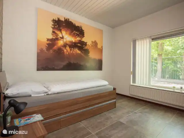 cisne mudo en Países Bajos, Barbante Septentrional, Heesch - bungaló El segundo dormitorio con una cama individual.