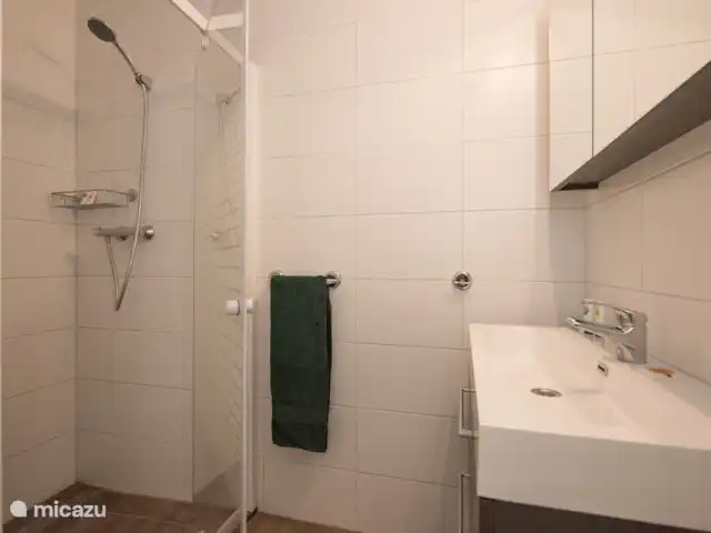 cisne mudo en Países Bajos, Barbante Septentrional, Heesch - bungaló El baño tiene inodoro, lavabo y ducha a ras de suelo.