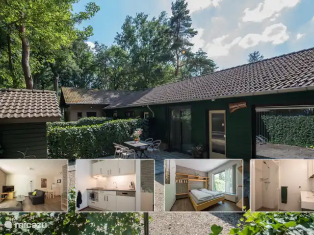 cisne mudo en Países Bajos, Barbante Septentrional, Heesch - bungaló Vista frontal + compilación