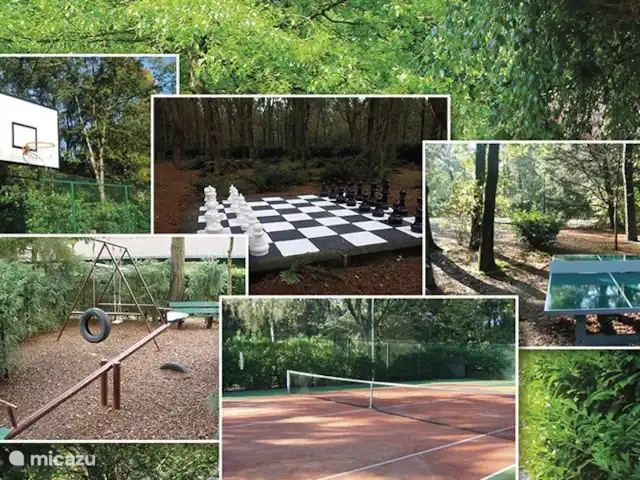 cisne mudo en Países Bajos, Barbante Septentrional, Heesch - bungaló Instalaciones del parque