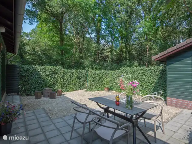 cisne mudo en Países Bajos, Barbante Septentrional, Heesch - bungaló El jardín con la terraza.