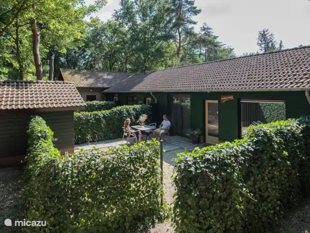 cisne mudo en Países Bajos, Barbante Septentrional, Heesch - bungaló El jardín con la terraza.