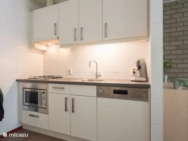 cisne mudo en Países Bajos, Barbante Septentrional, Heesch - bungaló La cocina totalmente equipada