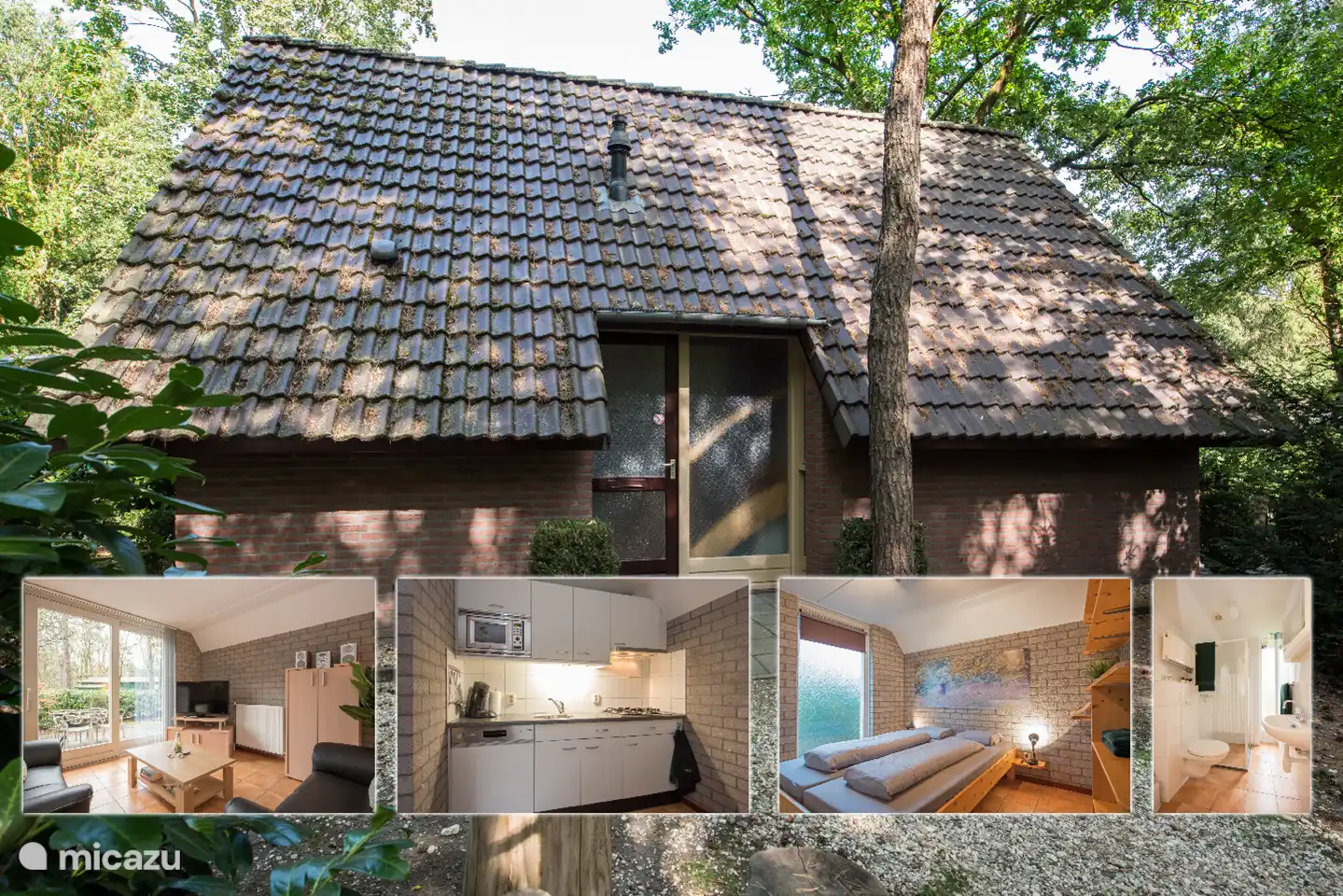 Java Pfau in Niederlande, Nordbrabant, Heesch - bungalow