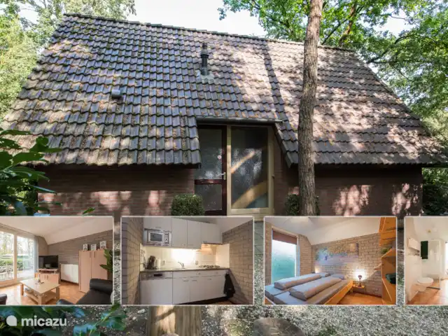 pavo real de Java en Países Bajos, Barbante Septentrional, Heesch - bungaló pavo real de Java en Países Bajos, Barbante Septentrional, Heesch - bungaló