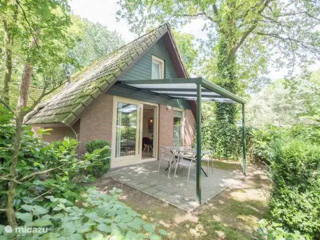 pavo real de Java en Países Bajos, Barbante Septentrional, Heesch - bungaló El jardín