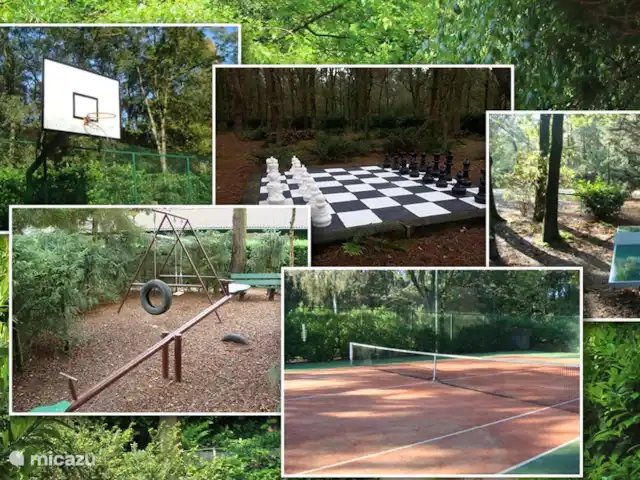 pavo real de Java en Países Bajos, Barbante Septentrional, Heesch - bungaló Instalaciones del parque