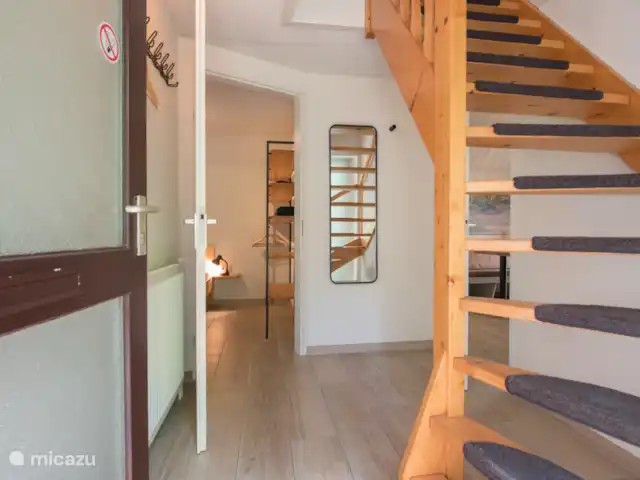 pavo real de Java en Países Bajos, Barbante Septentrional, Heesch - bungaló La entrada