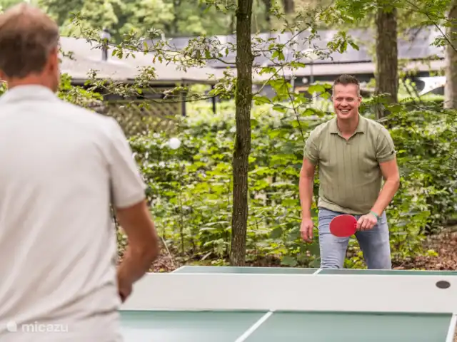 pavo real de Java en Países Bajos, Barbante Septentrional, Heesch - bungaló También es posible golpear una pelota juntos. Tanto tenis de mesa como tenis regular en nuestra pista de tenis.