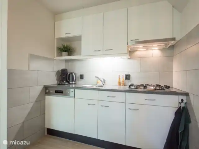 pavo real de Java en Países Bajos, Barbante Septentrional, Heesch - bungaló La cocina