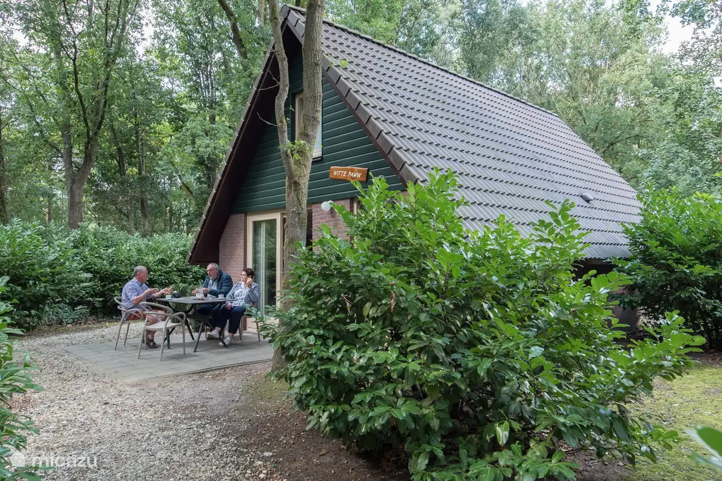 Weißer Pfau in Niederlande, Nordbrabant, Heesch - bungalow