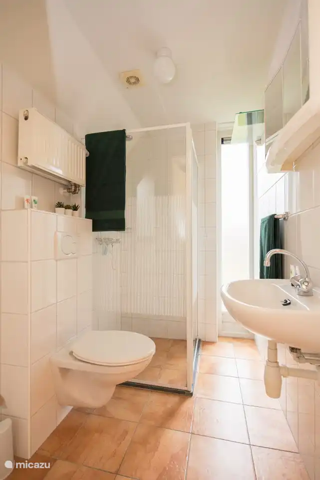 Das Badezimmer verfügt über eine Toilette, ein Waschbecken und eine ebenerdige Dusche