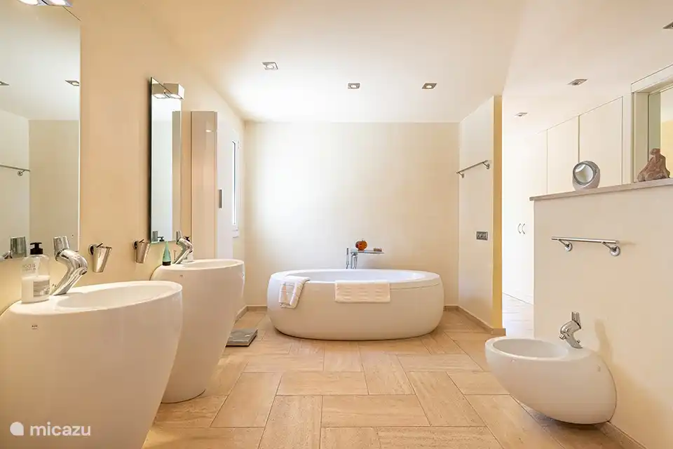 Grande salle de bain