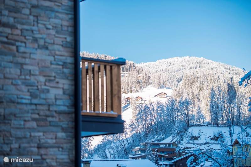 Vacation rental Austria, Salzburgerland, Wagrain Chalet New Chalet16 in Wagrain, ski-in!