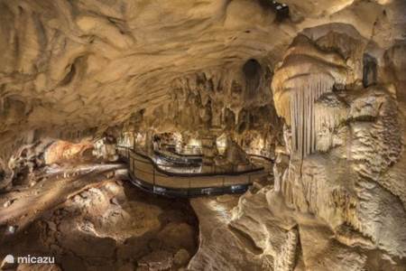 Höhle Chauvet