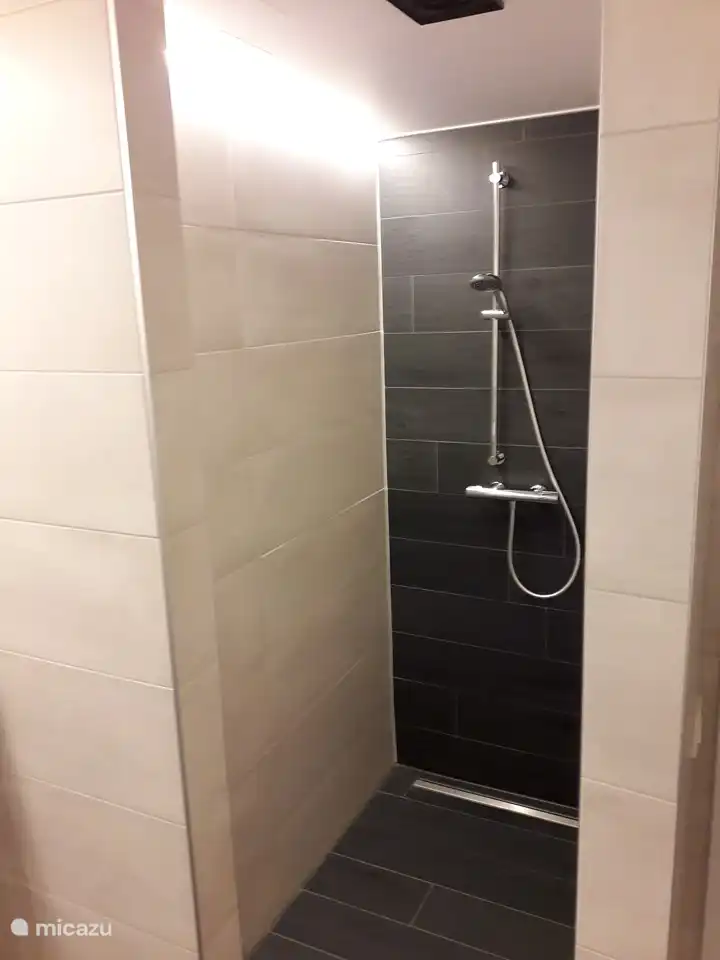 Douche à l'italienne