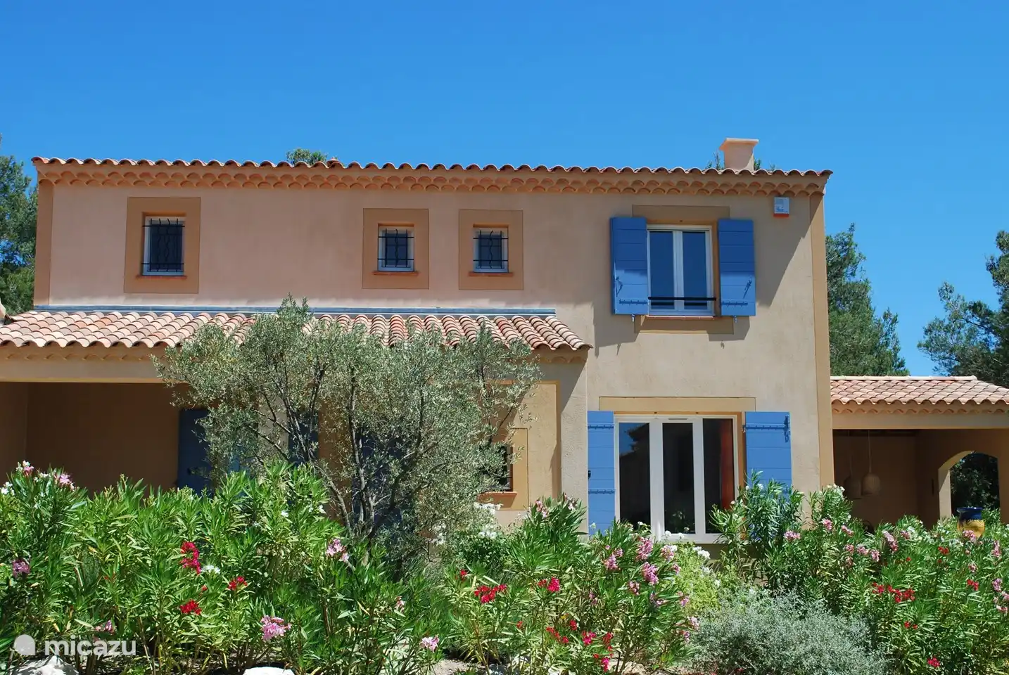 Attraktiver Vorgarten mit vielen Blütenpflanzen