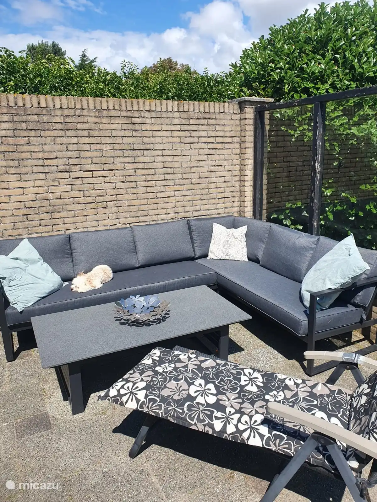 Sie können im Garten sitzen.