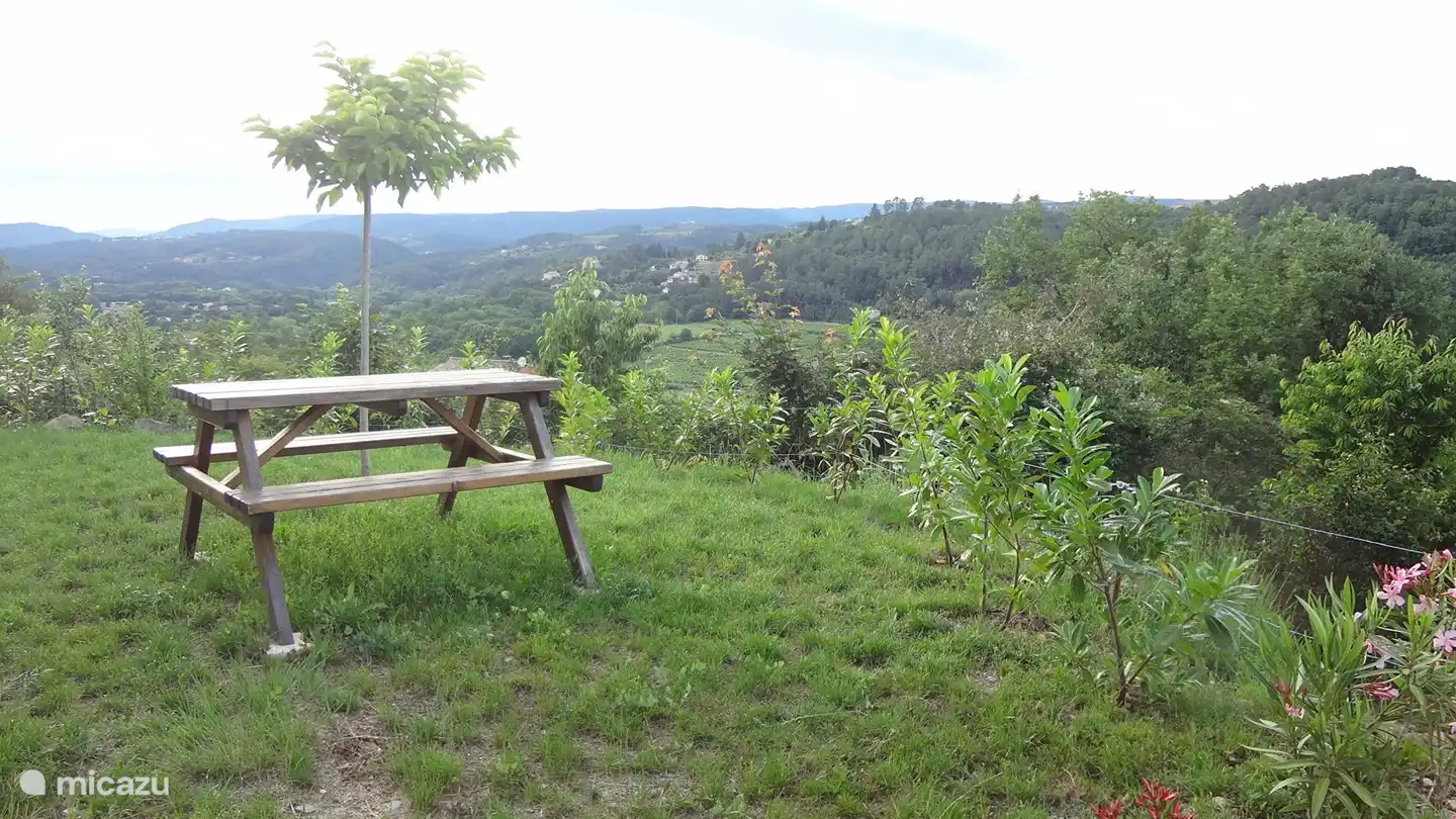 jardin avec table de pique-nique