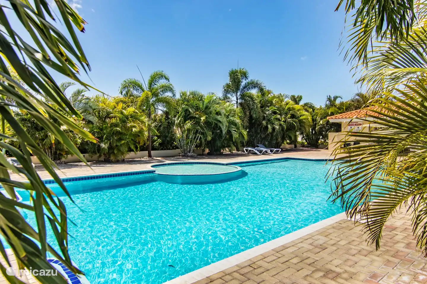 Algemeen zwembad met kinderbad.