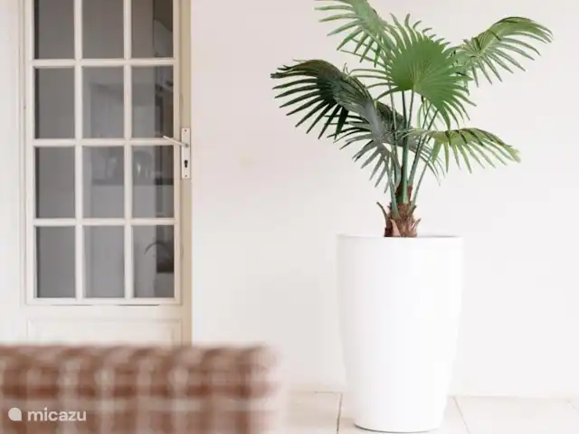 Villa Annabelle | France, Aude, Escales - villa