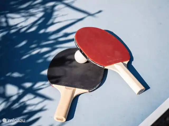 Sombrilla Villa Le Pin en Francia, Aude, Ginestas - villa