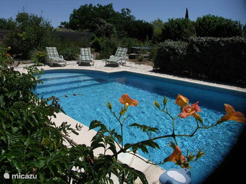 Ferienwohnung Frankreich, Aude, Ginestas Villa Villa Le Pin Parasol