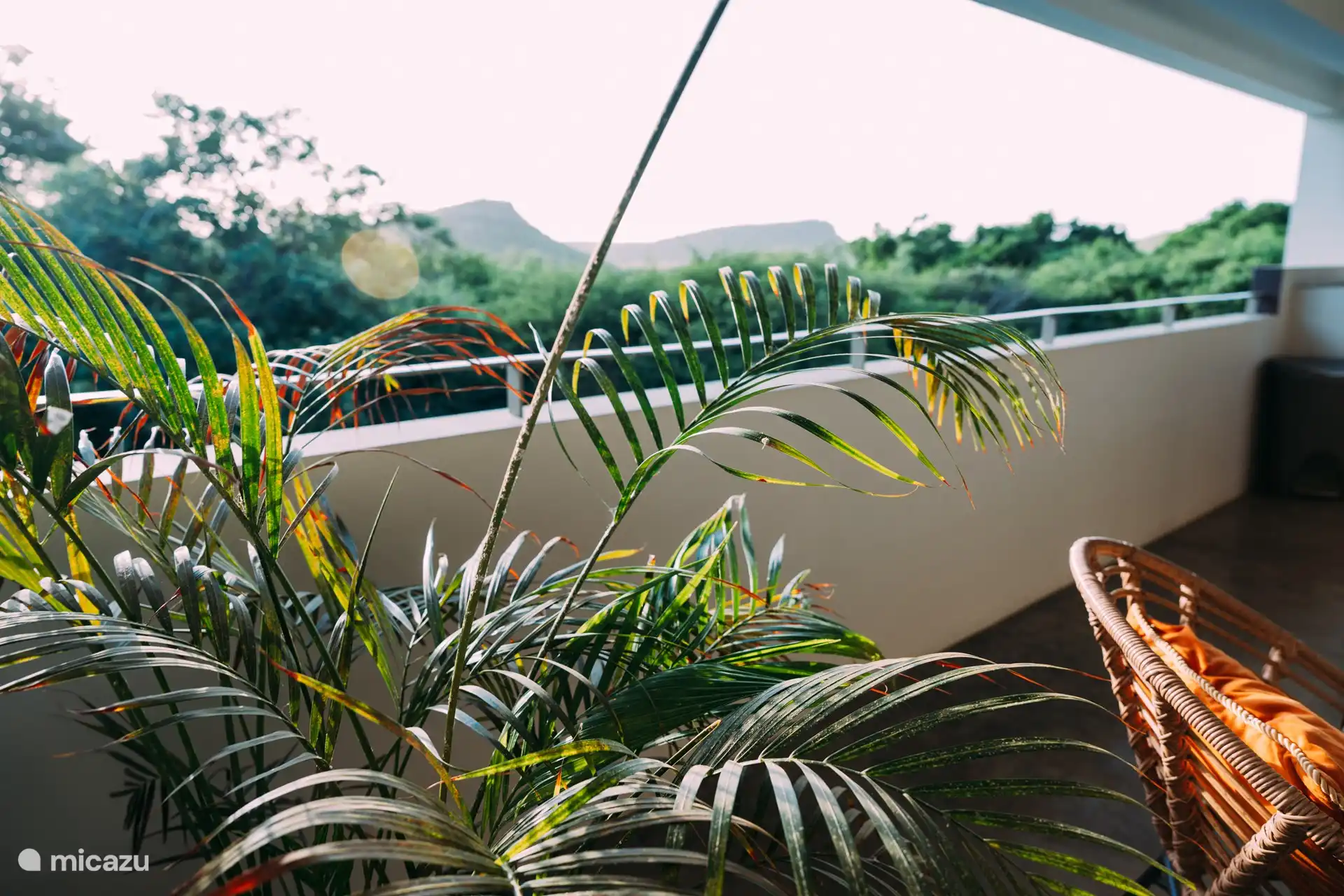 Prachtig uitzicht vanuit de keuken.