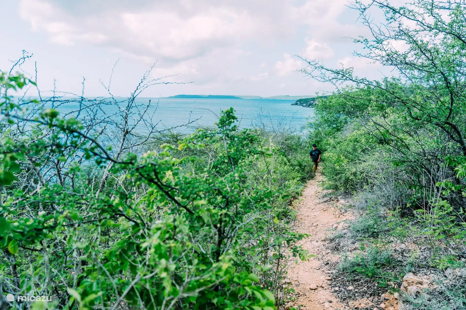 Voor de enthousiaste wandelaars die op zoek zijn naar een meer uitdagende wandelroute is er een wandelroute bij Kokomo Beach en Boca Sami. Deze wandelroutes in het oosten van Curacao zijn rotsachtig en heuvelachtig.